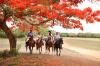/images/products/32434/casa_de_campo-sports__horseback_ridding_mbr_thumbnail.jpg